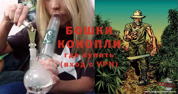 ALPHA PVP Заводоуковск
