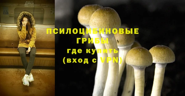 ALPHA PVP Заводоуковск