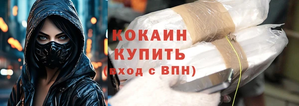 прущие грибы Заволжск
