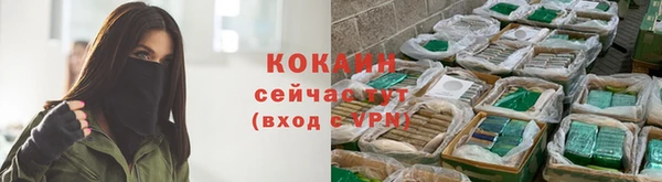 прущие грибы Заволжск