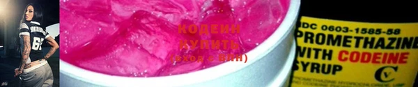 прущие грибы Заволжск