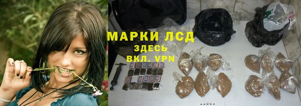 прущие грибы Заволжск