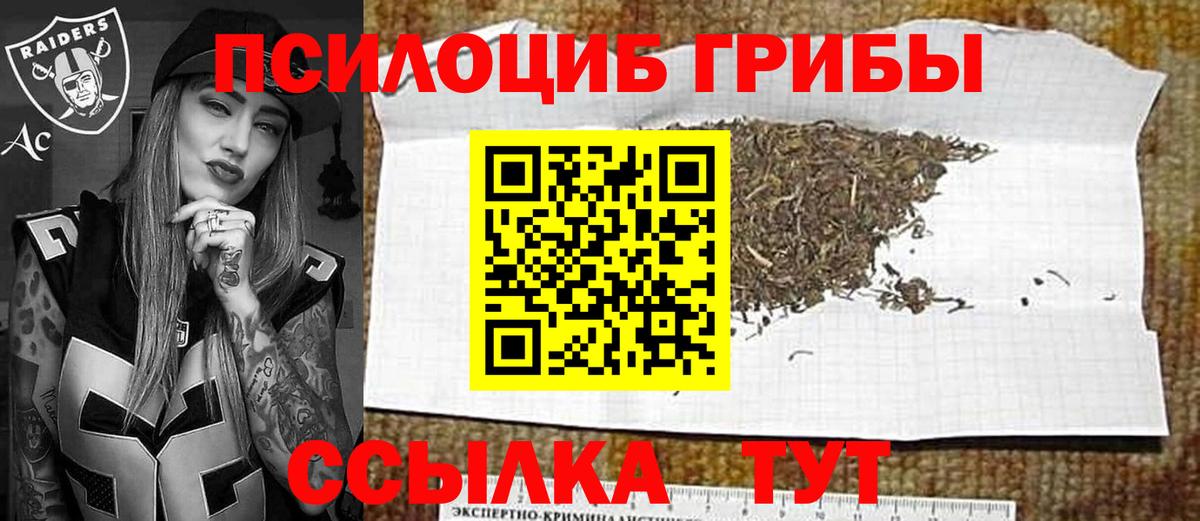 Псилоцибиновые грибы GOLDEN TEACHER  Вход с VPN  Зеленодольск 