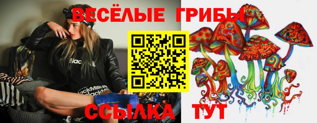 Галлюциногенные грибы прущие грибы Зеленодольск